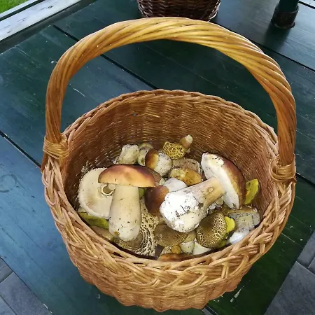 Pod Lesem بيت خشبي Rýmařov