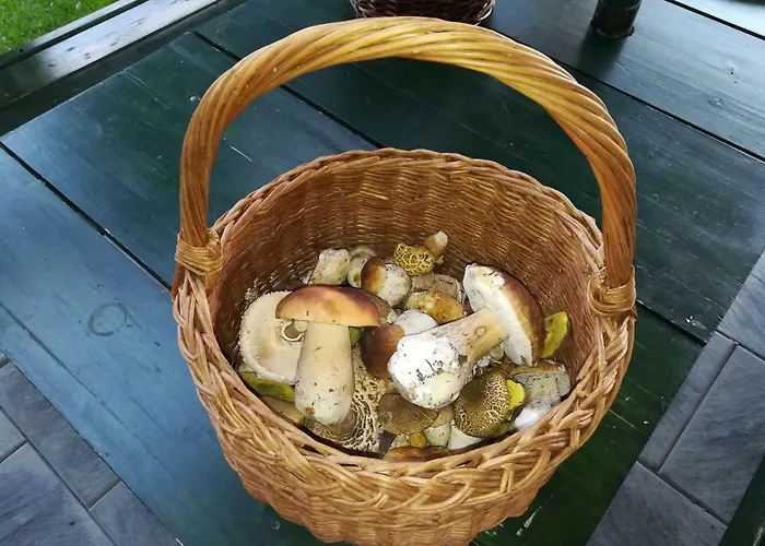 Pod Lesem Hytte Rýmařov